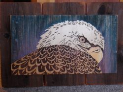 #19 Sandcarved eagle design